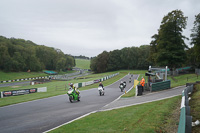 Middle Group Green Bikes